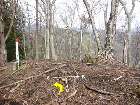 20190205hike (80)